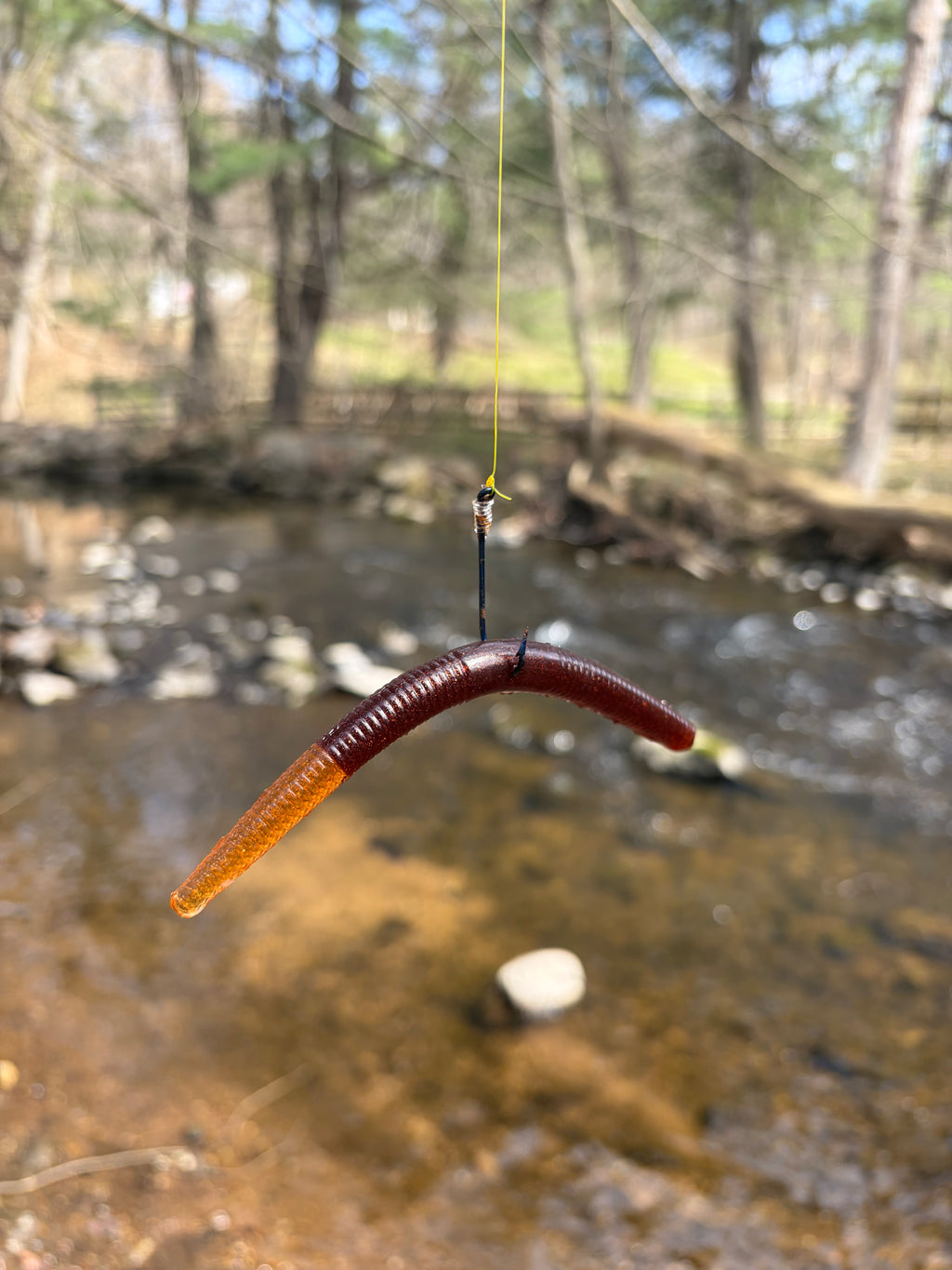 Orange tip and red body SugarBait worm lure attached on hook over a pond.