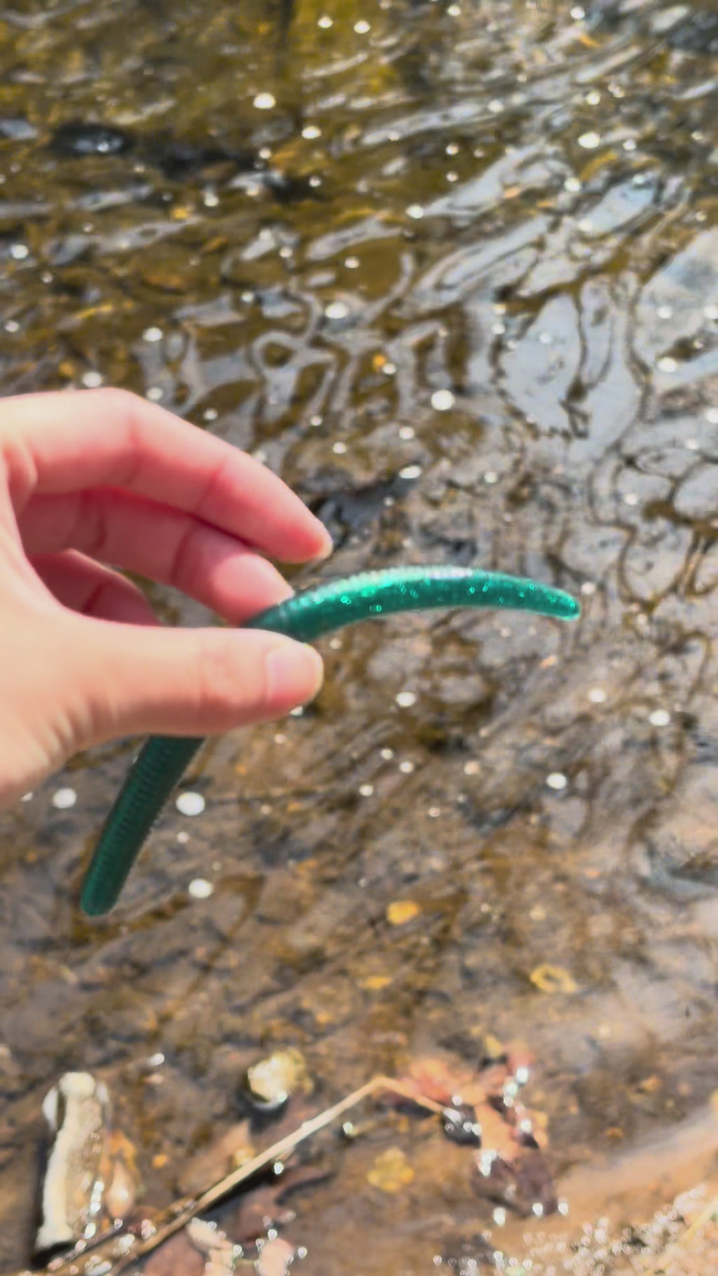 Video of Midnight Blue Worm being held by two fingers in person's hand that wiggles the worm to show how elastic the lure becomes in warmer temperatures over a pond.