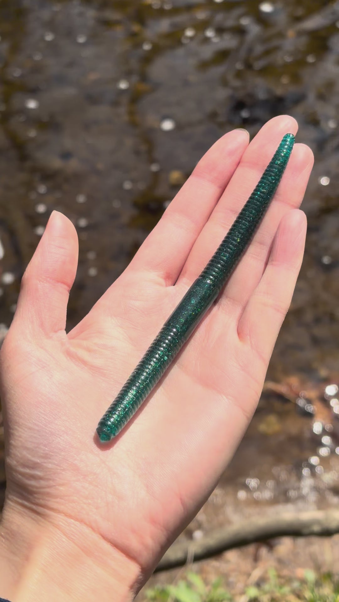 Video of Midnight Blue Worm laying flat on person's hand that slowly rotates the worm to show how it sparkles in the sunlight over a pond.